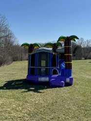 432839530 122154944006070554 1155841342721903850 n 1722880497 1 Tropical Bounce House W/ Slide Combo