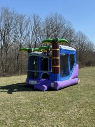 Tropical Bounce House W/ Slide Combo