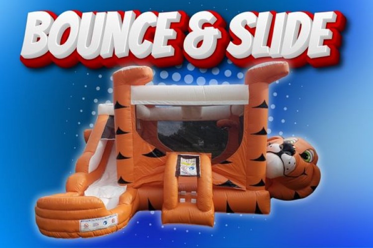 Bounce Houses W/ Slides